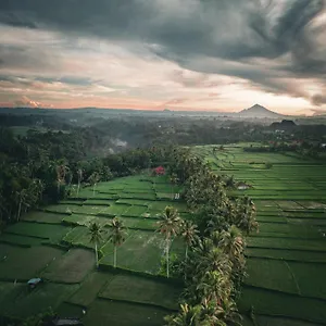 Maison d'hôtes Ayu Duwur Beji, Ubud
